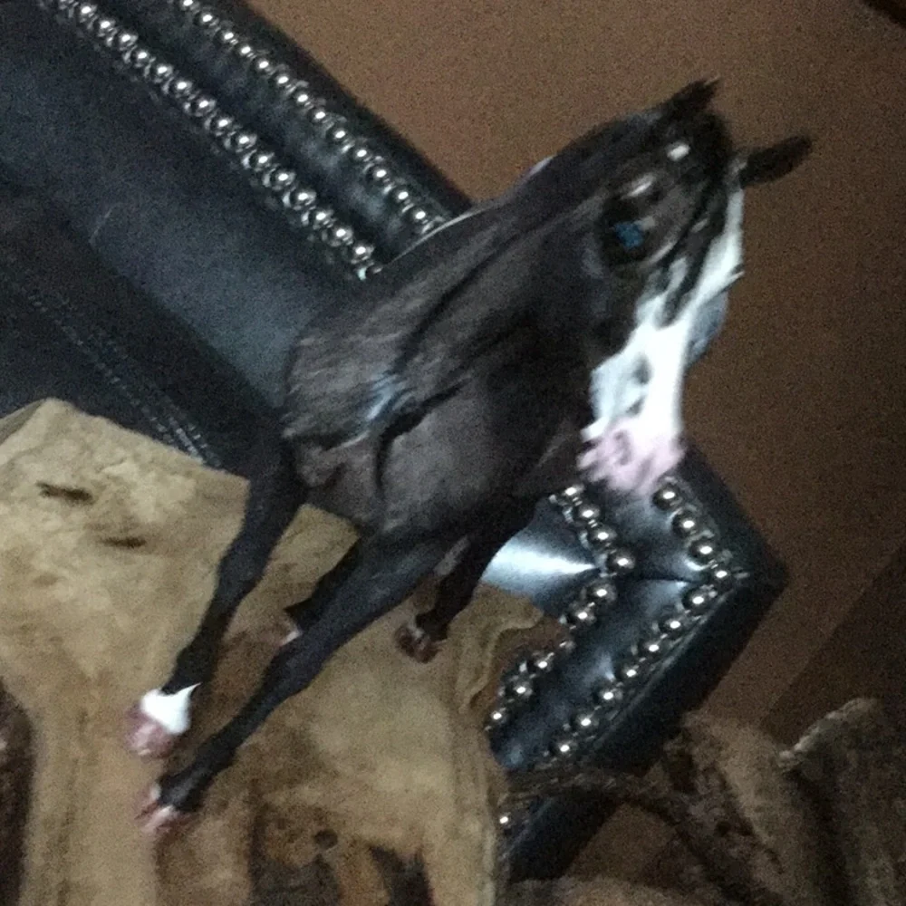 OOAK ARTISAN spotted pony  Breyer horse custom collectable equestrian  cowgirl - Picture 11 of 14